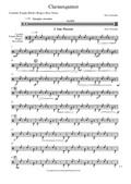 Clarinetquintet Imagination – Percussion Part
